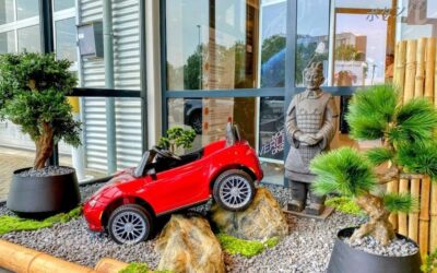 Uw Zomerse Presentatie Realiseren